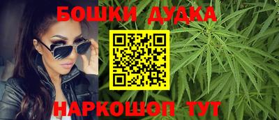 Альфа ПВП Малгобек